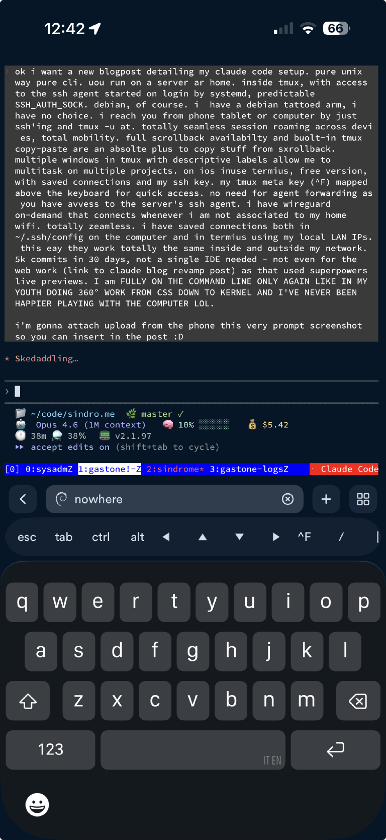 Writing this very post from my phone over SSH — screenshot of Termius on iOS connected to Claude Code inside tmux